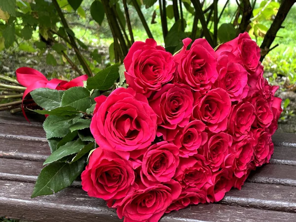 Букет из 25 малиновых роз Готча