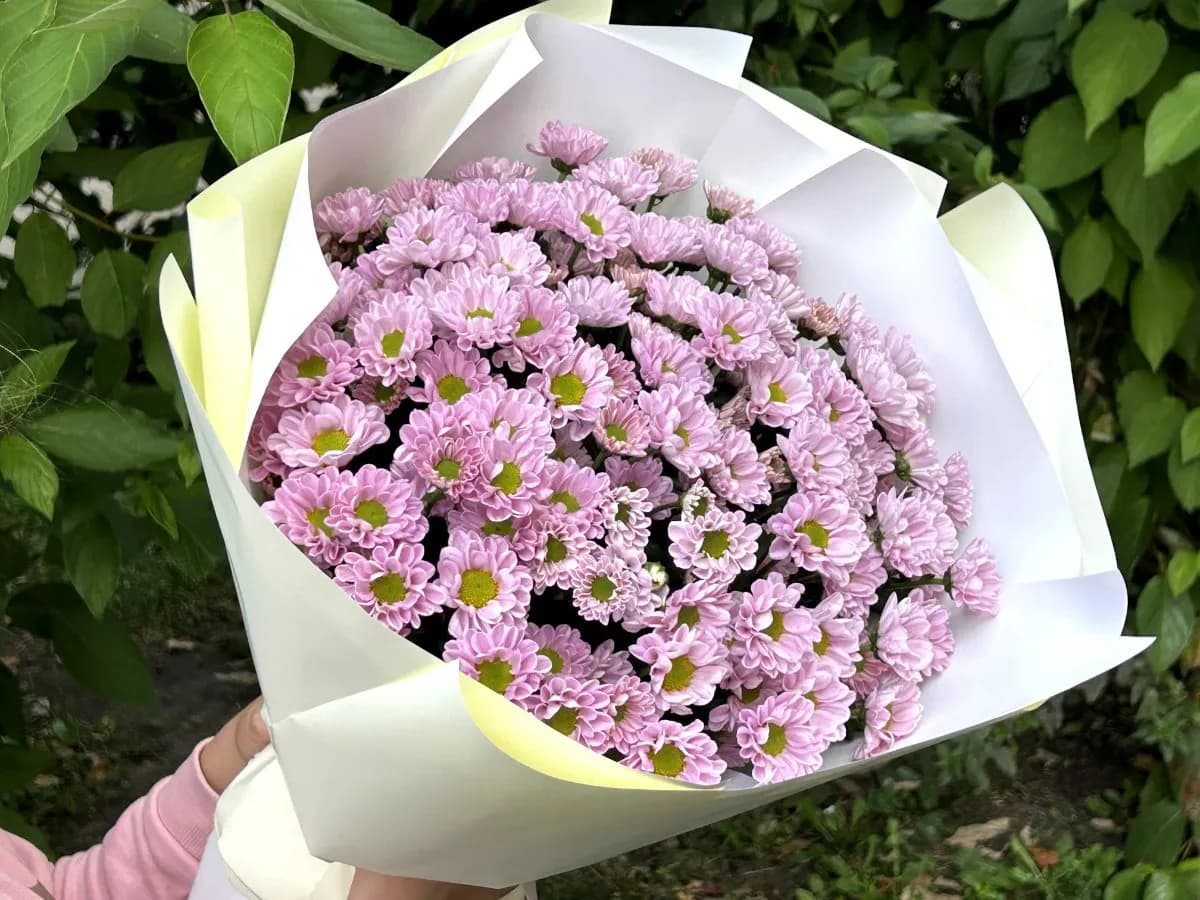 Розовый коралл