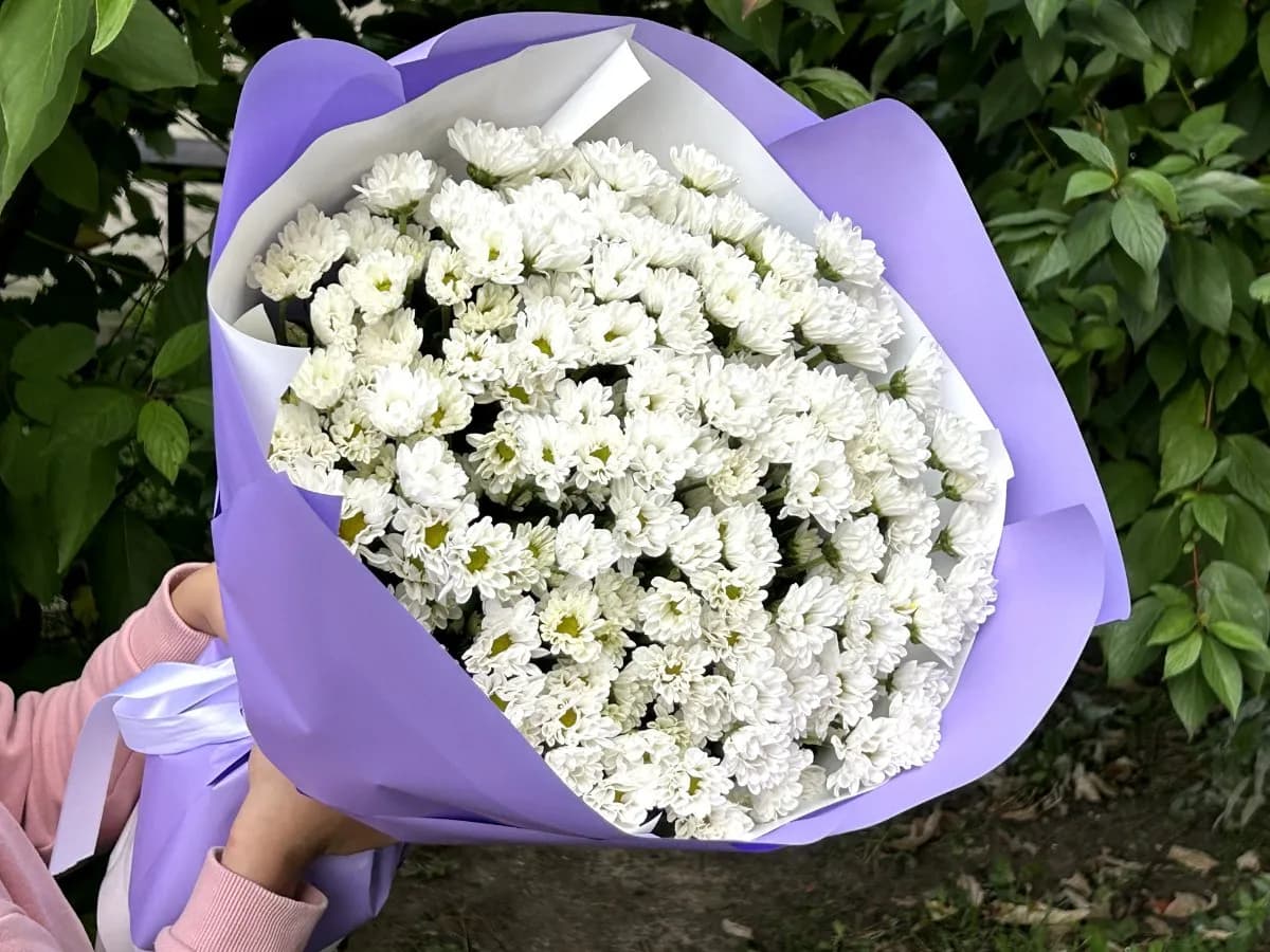 Белый коралл