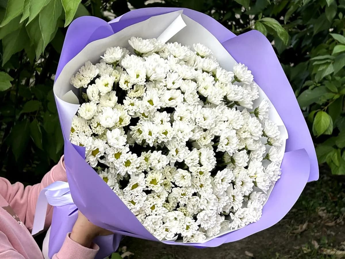 Белый коралл